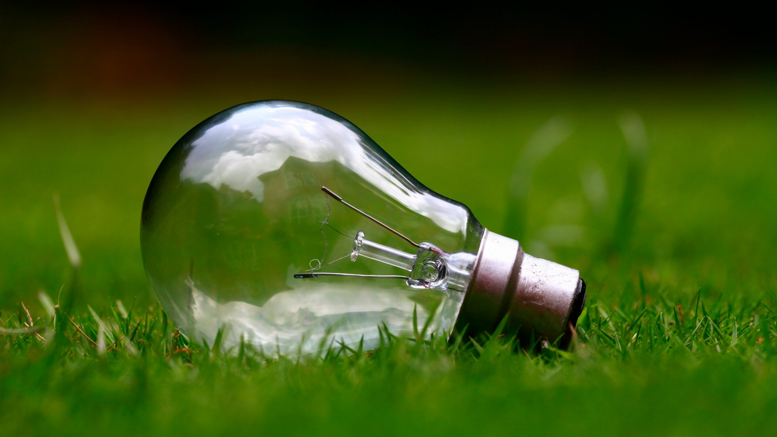 lamp-in-gras-scaled